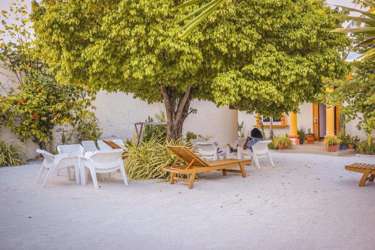 Summer Vibes Beach Front Rasdhoo 外观 照片